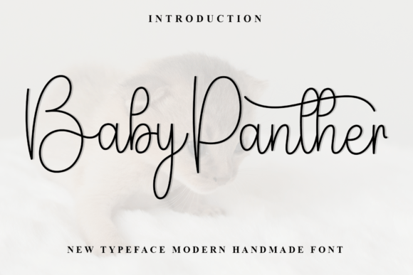 Baby Panther: A Warm, Playful Script Font for Branding Projects