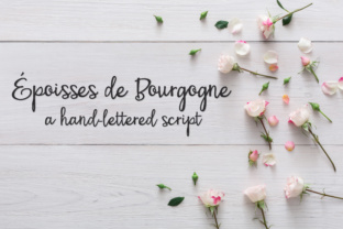 PN Époisses De Bourgogne: A Handwritten Font for Business
